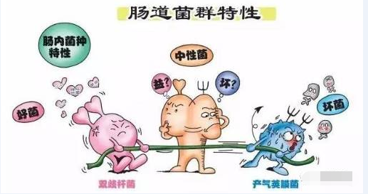 QQ图片20180426192552.png